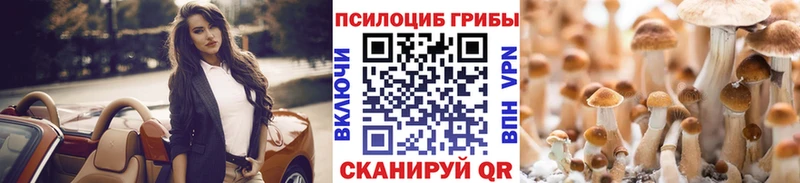 Галлюциногенные грибы Psilocybe  Клин 