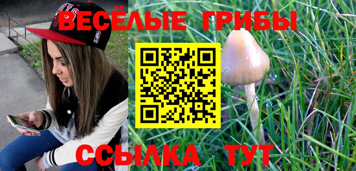 Галлюциногенные грибы Magic Shrooms Клин