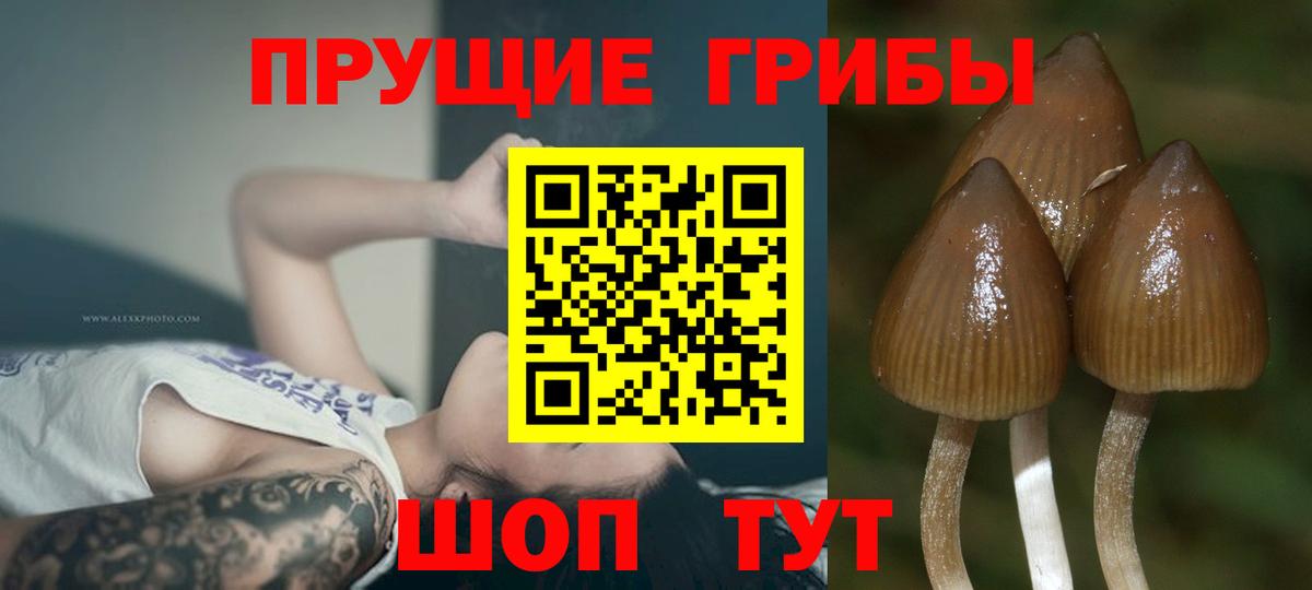 Клин  Псилоцибиновые грибы мухоморы  Вход с VPN 